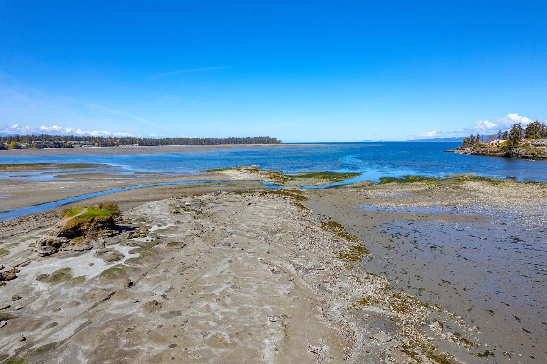 Pacific Shores Resort & Spa Parksville Exterior photo