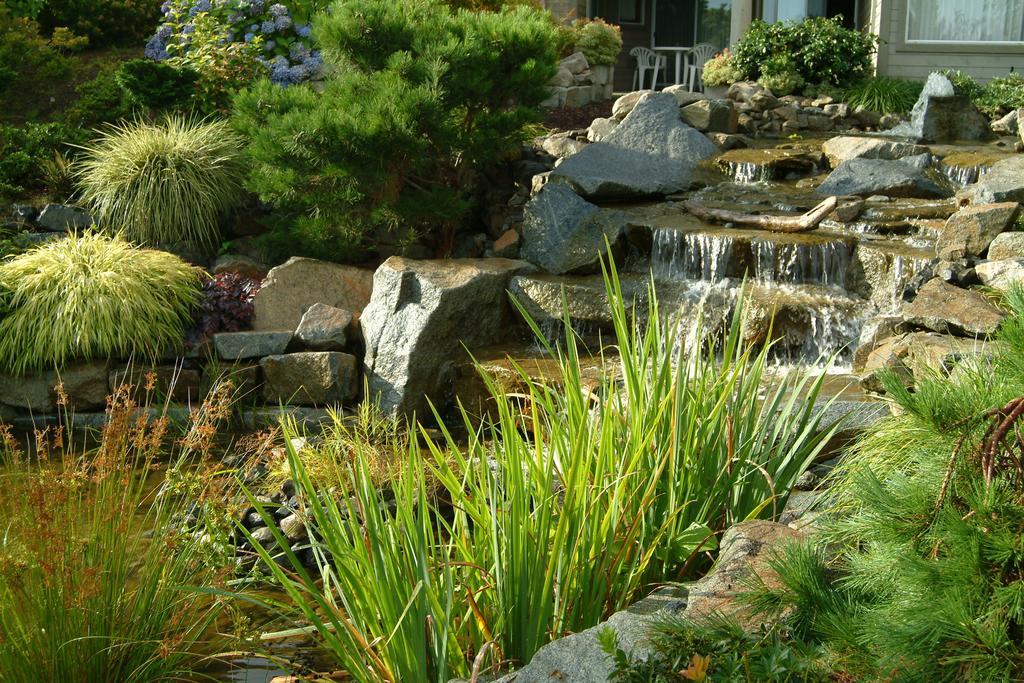 Pacific Shores Resort & Spa Parksville Exterior photo